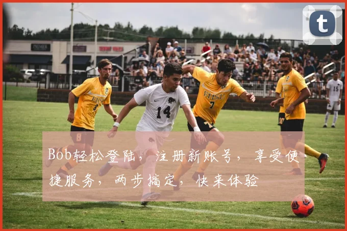 Bob轻松登陆，注册新账号，享受便捷服务，两步搞定，快来体验