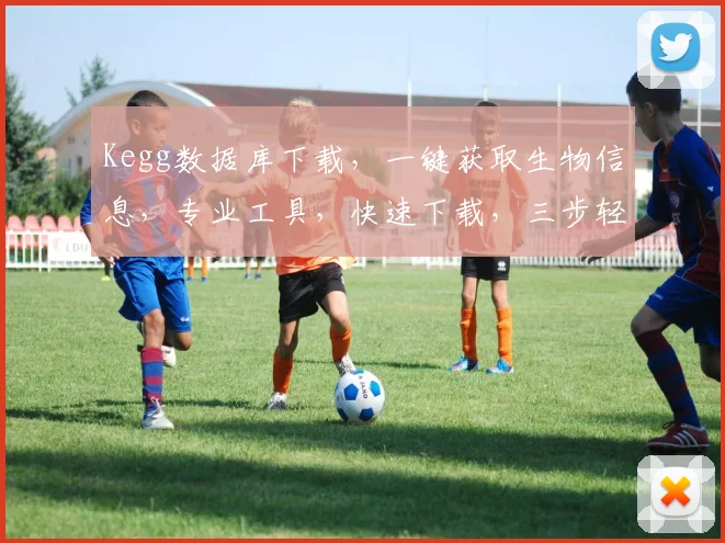 Kegg数据库下载，一键获取生物信息，专业工具，快速下载，三步轻松操作，助力科研